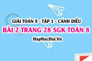 Giải bài 2 trang 28 Toán 8 Tập 1 SGK Cánh Diều